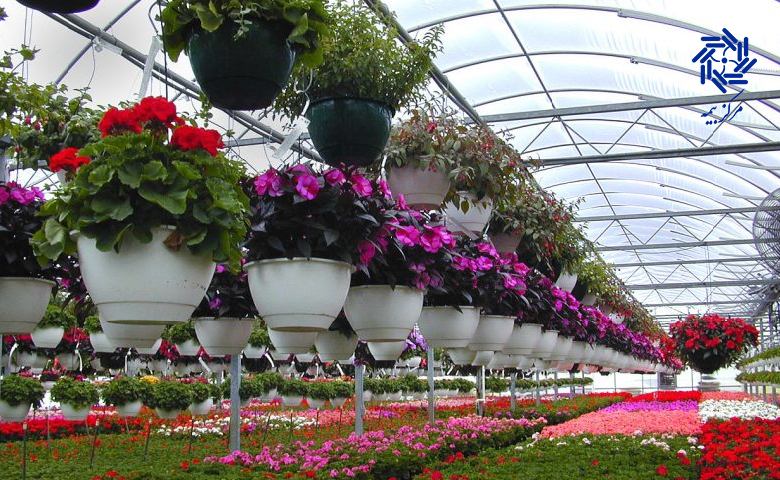 راهکارهای حفظ سرمایه با بیمه آتش ‌سوزی گلخانه